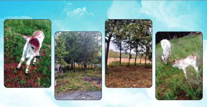 Featured image 2